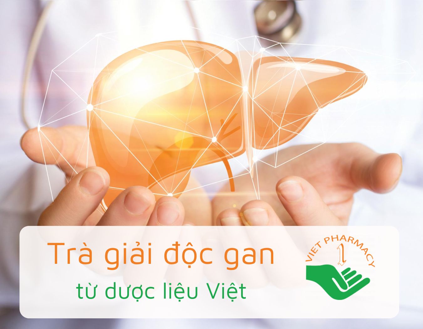 Trà giải độc gan từ dược liệu Việt